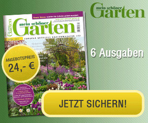 mein schöner Garten