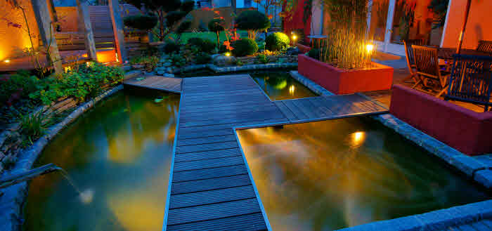 Ins rechte Licht gerückt › Das Gartenmagazin