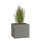 Pflanzwerk® Pflanzkübel Fiberglas Cube Lava Grau 30x34x34cm XXL *Frostbeständig* *UV-Schutz* *Qualitätsware*