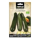 Zucchini-schwarze Schönheit - ECO Zucchini-schwarze Schönheit - ECO