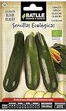 Zucchini-schwarze Schönheit - ECO