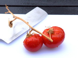 Rote Tomaten selbst ziehen und pflanzen