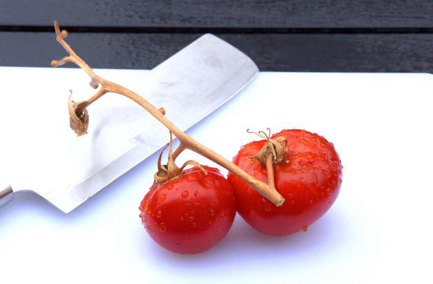 Rote Tomaten selbst ziehen und pflanzen