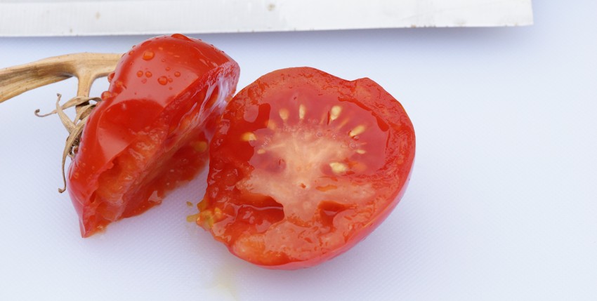 Tomate aufgeschnitten mit Blick auf Tomatensamen