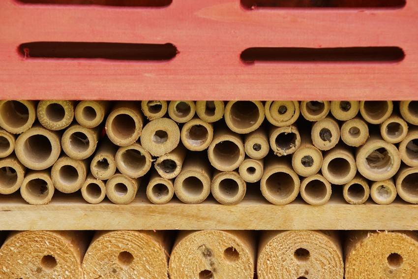 Insektenhotel Röhrchen mit Löchern