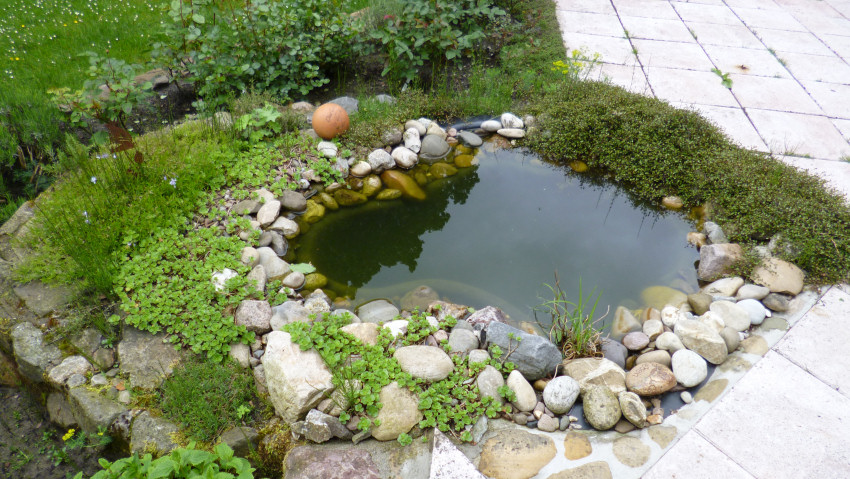 Teich Reinigen Ohne Wasser Ablassen