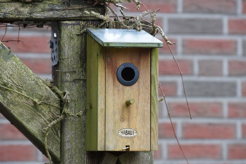 Nistkasten aus Holz im Garten aufgehängt