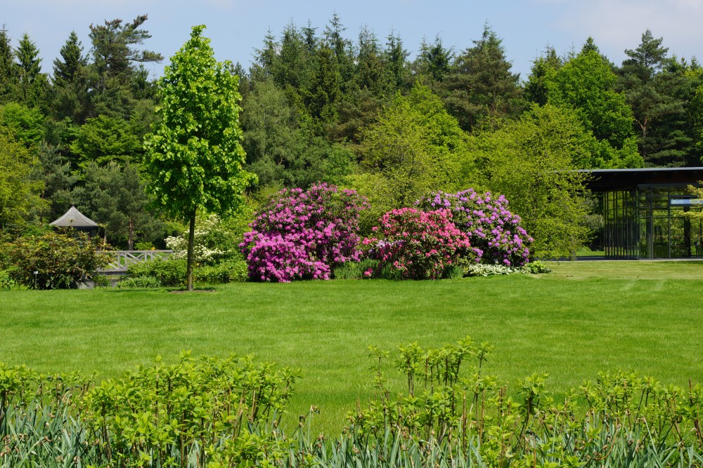 Rhodopark Bruns in Gristede Bad Zwischenahn