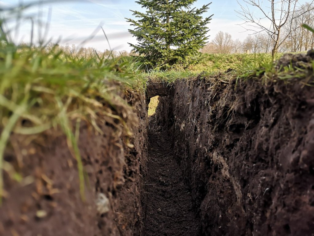 Was hilft gegen Maulwürfe? Wir haben getestet was wirklich klappt