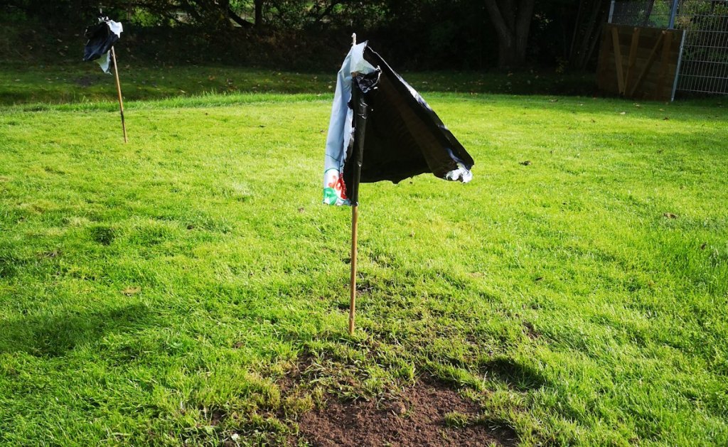 Was hilft gegen Maulwürfe? Wir haben getestet was wirklich klappt