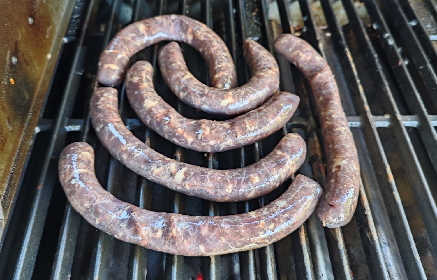 Wildbratwurst
